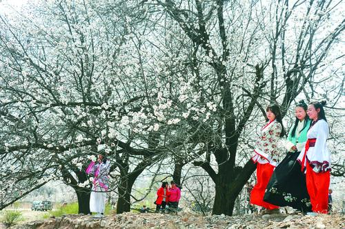 蓝鲸直播大屏展示